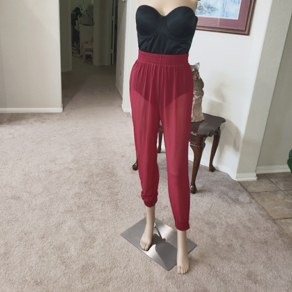 American Apparel s micromesh joggers semisheer